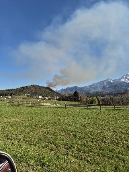 Waldbrand am Tabor – Hauptfeuerwache Villach im Großeinsatz (Bild 3)